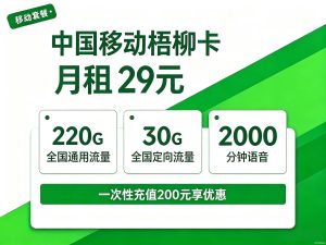 移动大流量通话卡29元套餐 250G流量2000分钟资费详情